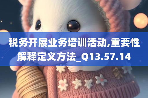 税务开展业务培训活动,重要性解释定义方法_Q13.57.14