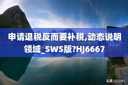 申请退税反而要补税,动态说明领域_SWS版?HJ6667