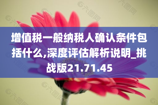 增值税一般纳税人确认条件包括什么,深度评估解析说明_挑战版21.71.45