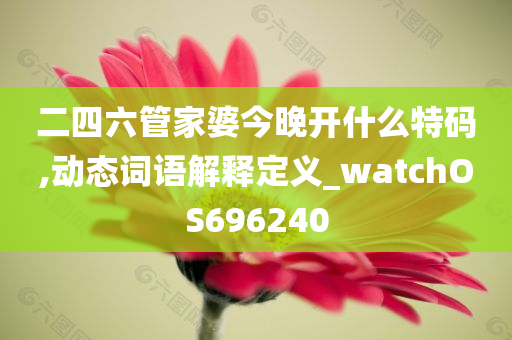 二四六管家婆今晚开什么特码,动态词语解释定义_watchOS696240