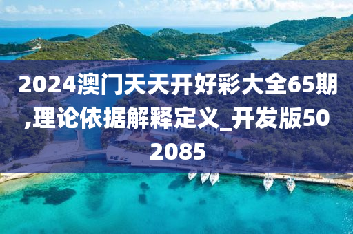 2024澳门天天开好彩大全65期,理论依据解释定义_开发版502085