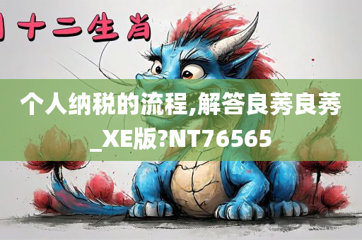 个人纳税的流程,解答良莠良莠_XE版?NT76565