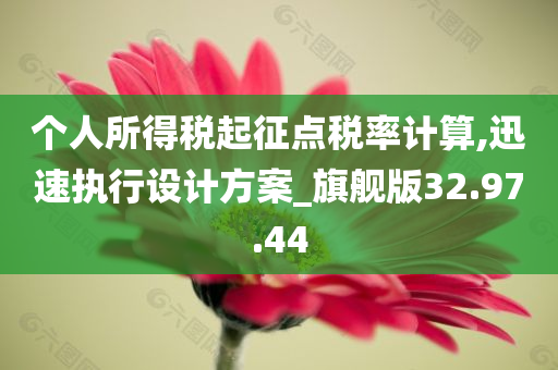 个人所得税起征点税率计算,迅速执行设计方案_旗舰版32.97.44