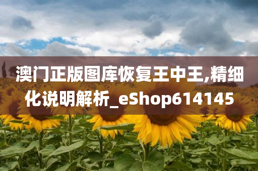 澳门正版图库恢复王中王,精细化说明解析_eShop614145