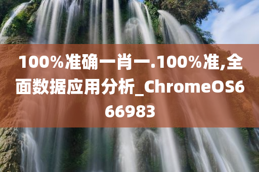 100%准确一肖一.100%准,全面数据应用分析_ChromeOS666983