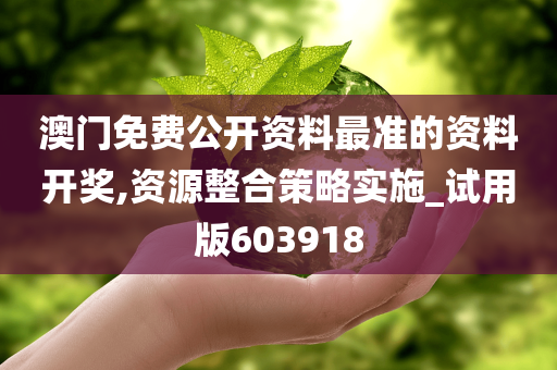 澳门免费公开资料最准的资料开奖,资源整合策略实施_试用版603918