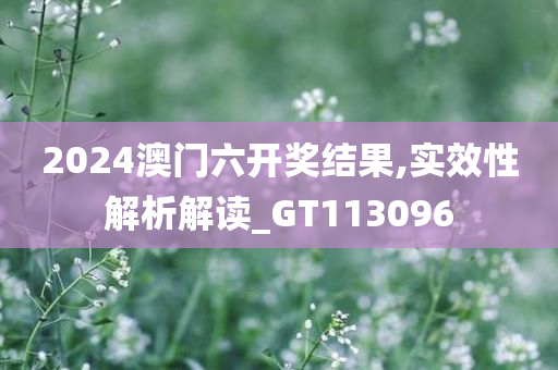 2024澳门六开奖结果,实效性解析解读_GT113096