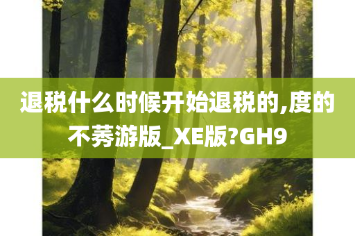 退税什么时候开始退税的,度的不莠游版_XE版?GH9