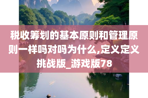 税收筹划的基本原则和管理原则一样吗对吗为什么,定义定义挑战版_游戏版78