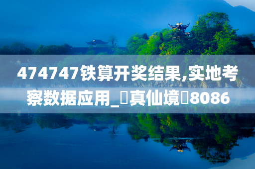 474747铁算开奖结果,实地考察数据应用_‌真仙境‌8086