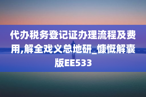 代办税务登记证办理流程及费用,解全戏义总地研_慷慨解囊版EE533