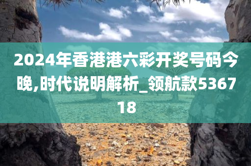 2024年香港港六彩开奖号码今晚,时代说明解析_领航款536718