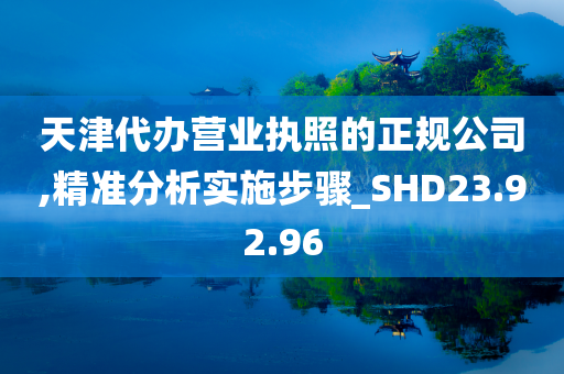 天津代办营业执照的正规公司,精准分析实施步骤_SHD23.92.96