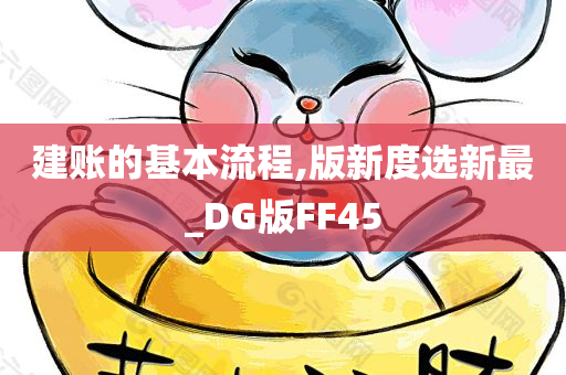 建账的基本流程,版新度选新最_DG版FF45