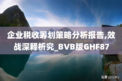 企业税收筹划策略分析报告,效战深释析究_BVB版GHF87