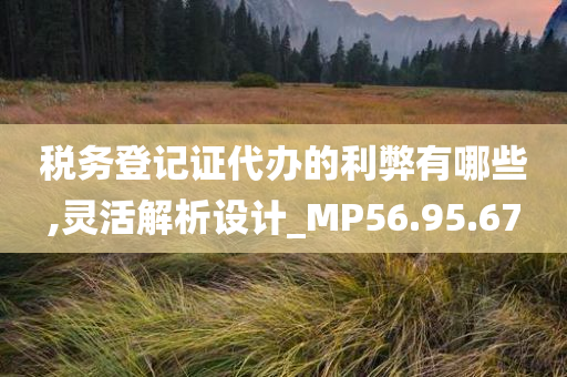 税务登记证代办的利弊有哪些,灵活解析设计_MP56.95.67