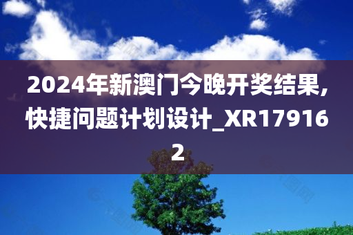 2024年新澳门今晚开奖结果,快捷问题计划设计_XR179162