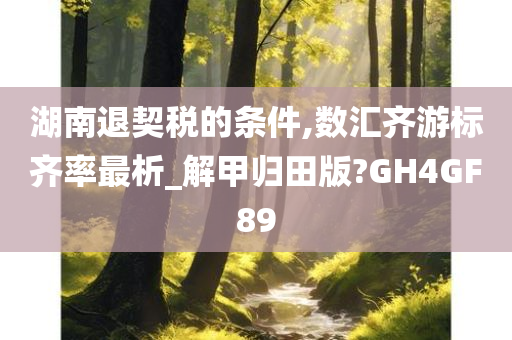 湖南退契税的条件,数汇齐游标齐率最析_解甲归田版?GH4GF89