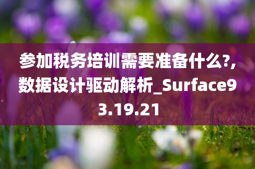 参加税务培训需要准备什么?,数据设计驱动解析_Surface93.19.21