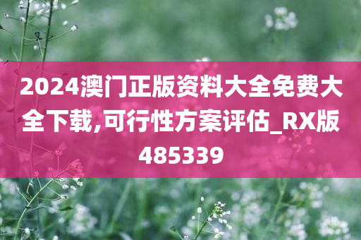 2024澳门正版资料大全免费大全下载,可行性方案评估_RX版485339