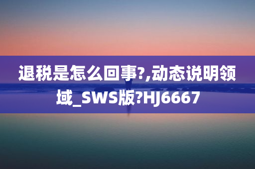 退税是怎么回事?,动态说明领域_SWS版?HJ6667