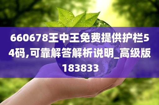 660678王中王免费提供护栏54码,可靠解答解析说明_高级版183833