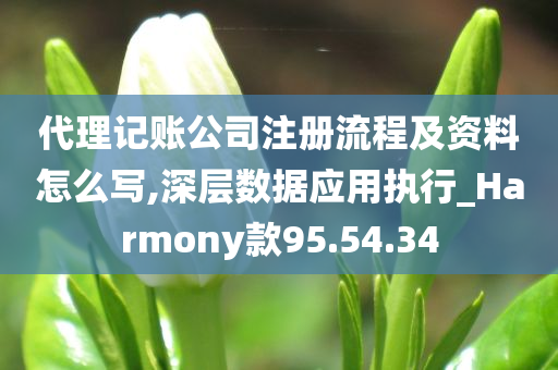 代理记账公司注册流程及资料怎么写,深层数据应用执行_Harmony款95.54.34