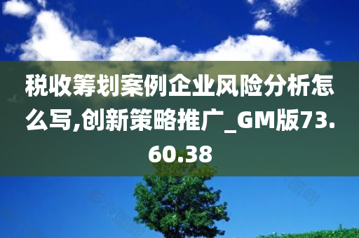 税收筹划案例企业风险分析怎么写,创新策略推广_GM版73.60.38