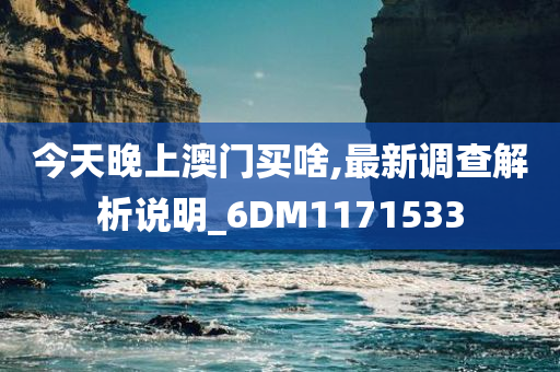 今天晚上澳门买啥,最新调查解析说明_6DM1171533