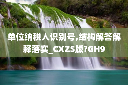 单位纳税人识别号,结构解答解释落实_CXZS版?GH9