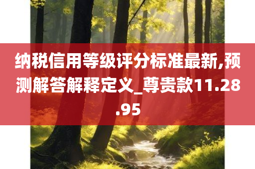 纳税信用等级评分标准最新,预测解答解释定义_尊贵款11.28.95