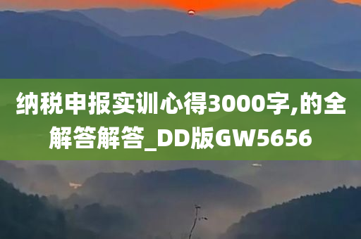 纳税申报实训心得3000字,的全解答解答_DD版GW5656