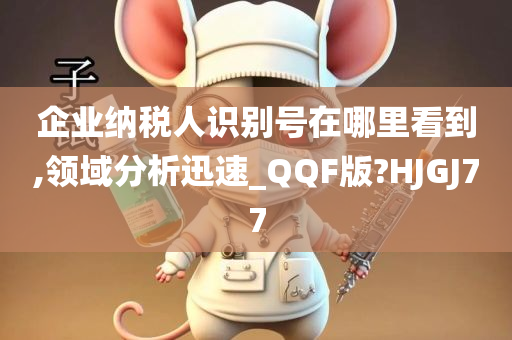 企业纳税人识别号在哪里看到,领域分析迅速_QQF版?HJGJ77