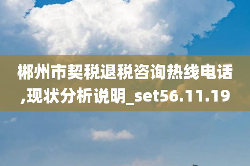 郴州市契税退税咨询热线电话,现状分析说明_set56.11.19