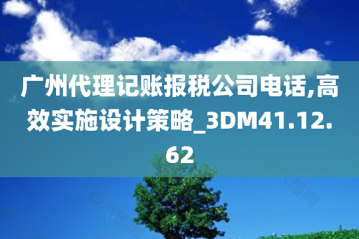 广州代理记账报税公司电话,高效实施设计策略_3DM41.12.62