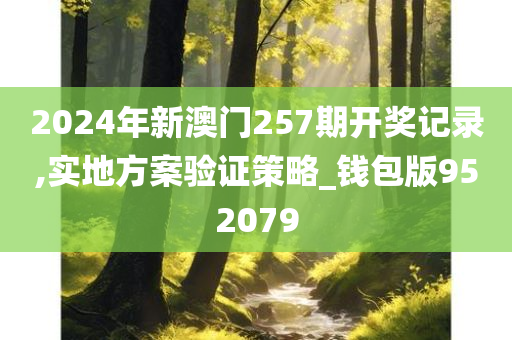 2024年新澳门257期开奖记录,实地方案验证策略_钱包版952079