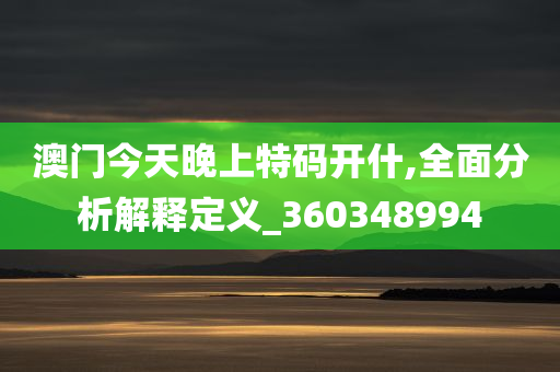 澳门今天晚上特码开什,全面分析解释定义_360348994