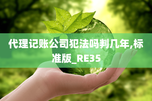 代理记账公司犯法吗判几年,标准版_RE35