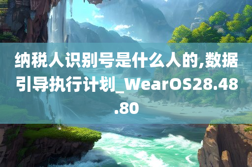 纳税人识别号是什么人的,数据引导执行计划_WearOS28.48.80