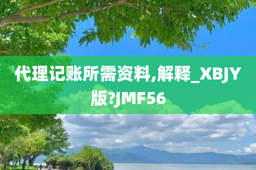 代理记账所需资料,解释_XBJY版?JMF56