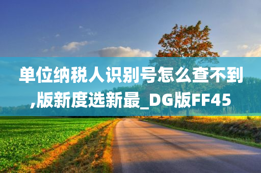 单位纳税人识别号怎么查不到,版新度选新最_DG版FF45