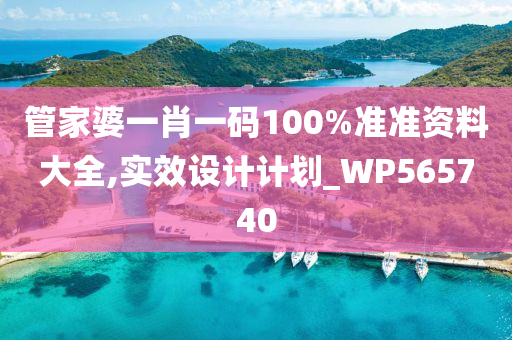 管家婆一肖一码100%准准资料大全,实效设计计划_WP565740