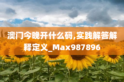 澳门今晚开什么码,实践解答解释定义_Max987896