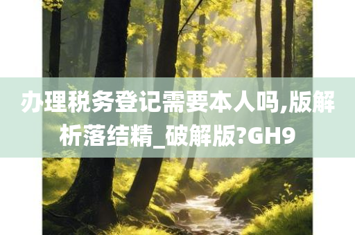 办理税务登记需要本人吗,版解析落结精_破解版?GH9