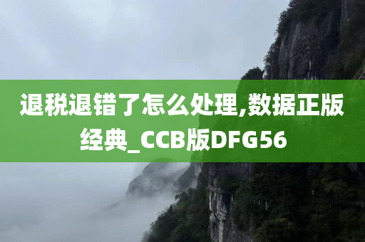 退税退错了怎么处理,数据正版经典_CCB版DFG56