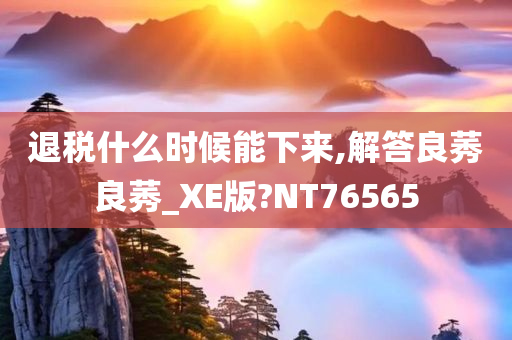 退税什么时候能下来,解答良莠良莠_XE版?NT76565