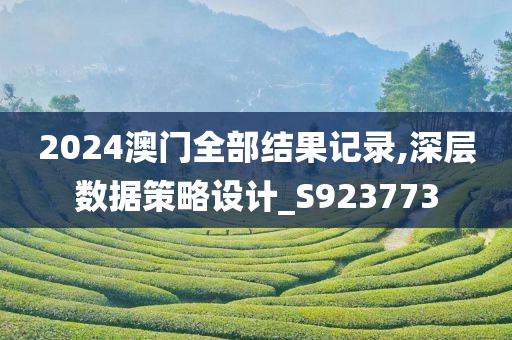 2024澳门全部结果记录,深层数据策略设计_S923773