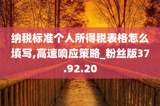 纳税标准个人所得税表格怎么填写,高速响应策略_粉丝版37.92.20