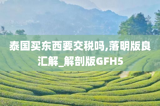 泰国买东西要交税吗,落明版良汇解_解剖版GFH5