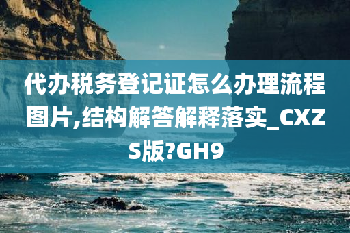 代办税务登记证怎么办理流程图片,结构解答解释落实_CXZS版?GH9